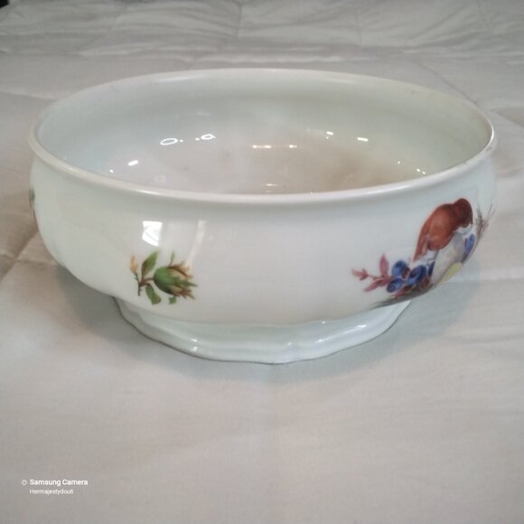 ROSENTHAL Bahnhof Selb Germany "Chippendale" Porcelain Autumn Nature Theme Bowl - Picture 4 of 9